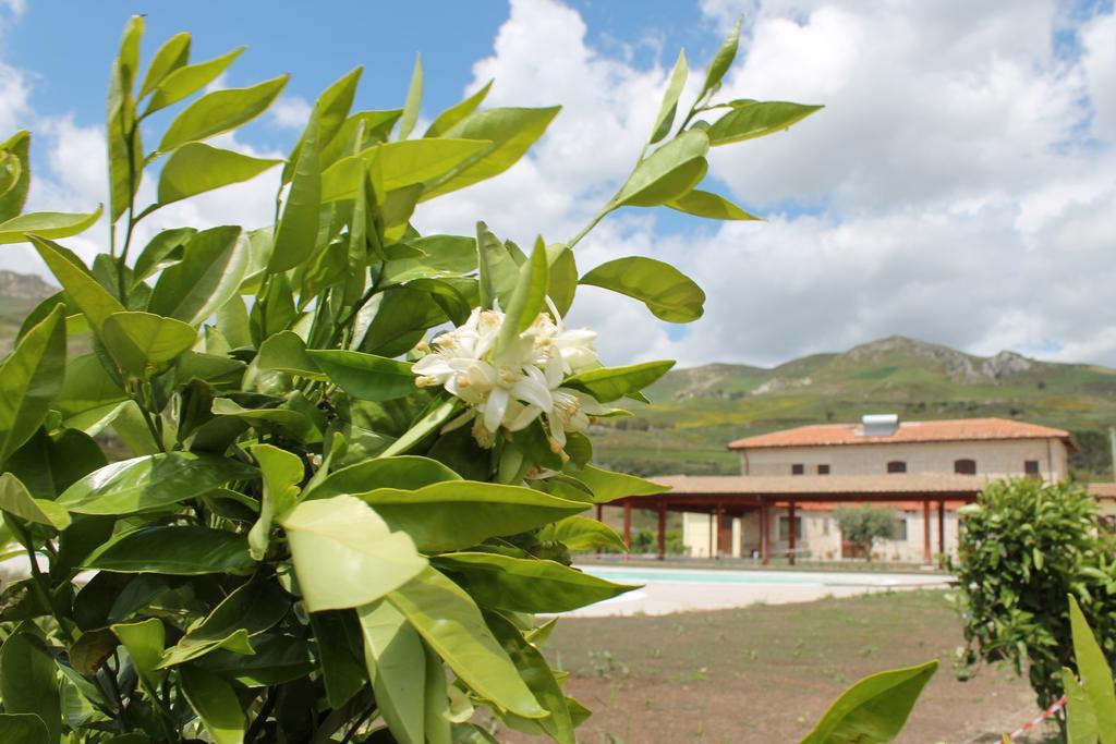 Tenuta Lanza Il Mulino Acquaviva Platani Exterior foto